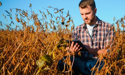 Gavea lança primeira bolsa digital e sustentável de commodities agrícolas do país