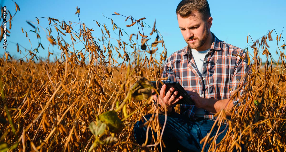 Gavea lança primeira bolsa digital e sustentável de commodities agrícolas do país