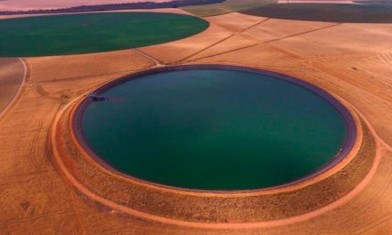 Gestão da água é o caminho para mais eficiência no campo