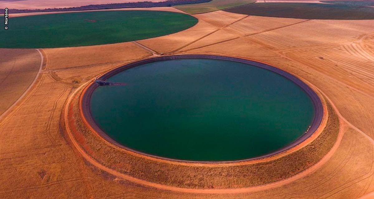 Gestão da água é o caminho para mais eficiência no campo