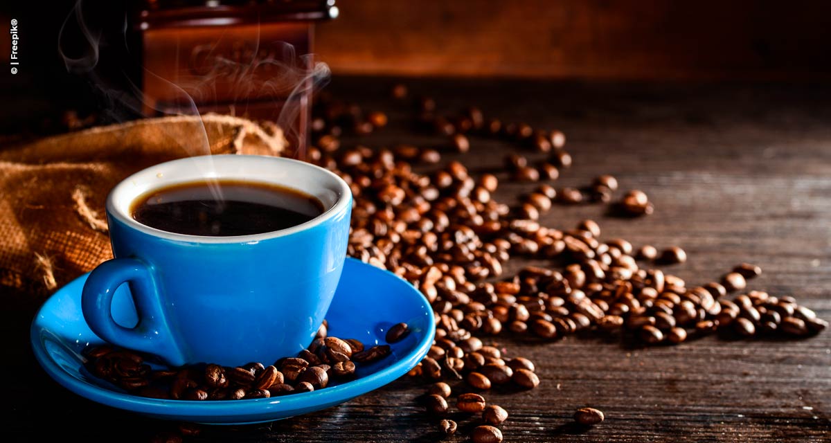 Pequenas e microempresas de café ganham visibilidade e impulsionam negócios no Espaço Village