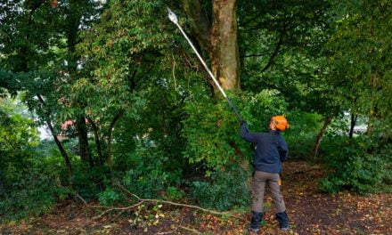 STIHL lança motopoda a bateria com 3,9 metros de comprimento