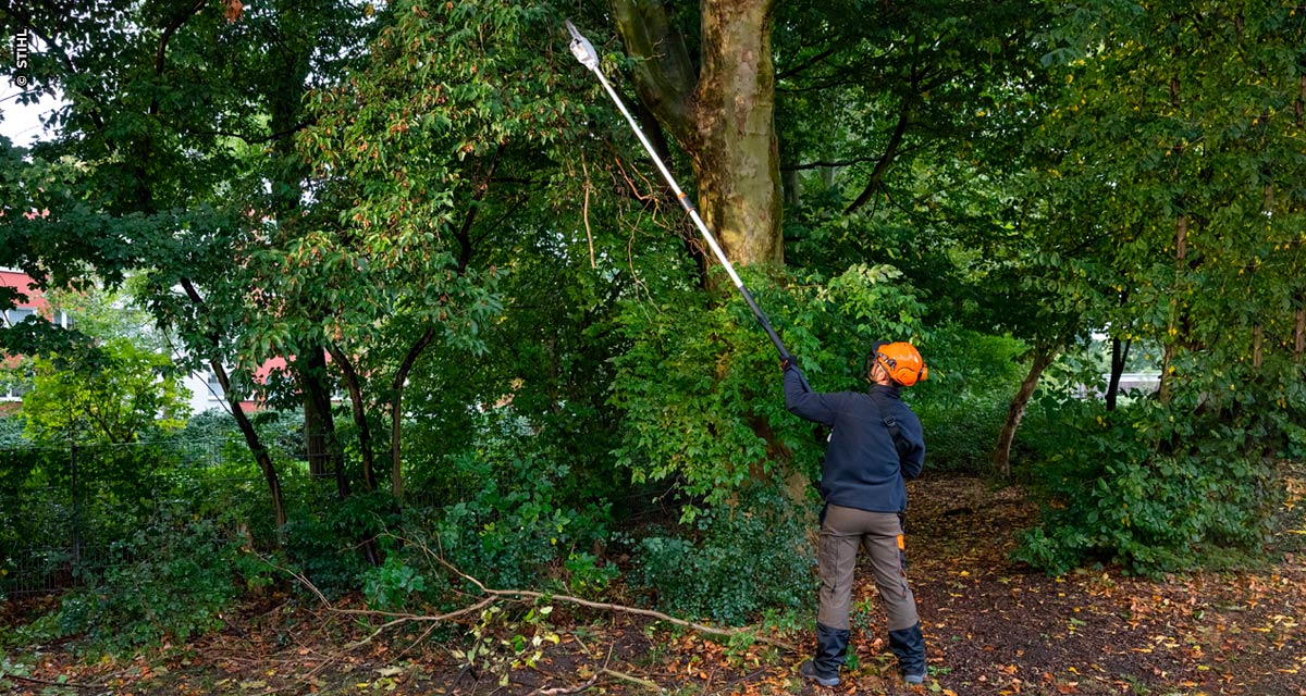 STIHL lança motopoda a bateria com 3,9 metros de comprimento