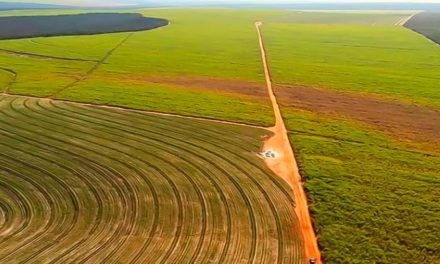 Alta das commodities estimulam investimento em novas áreas de produção rural e promove valorização das terras