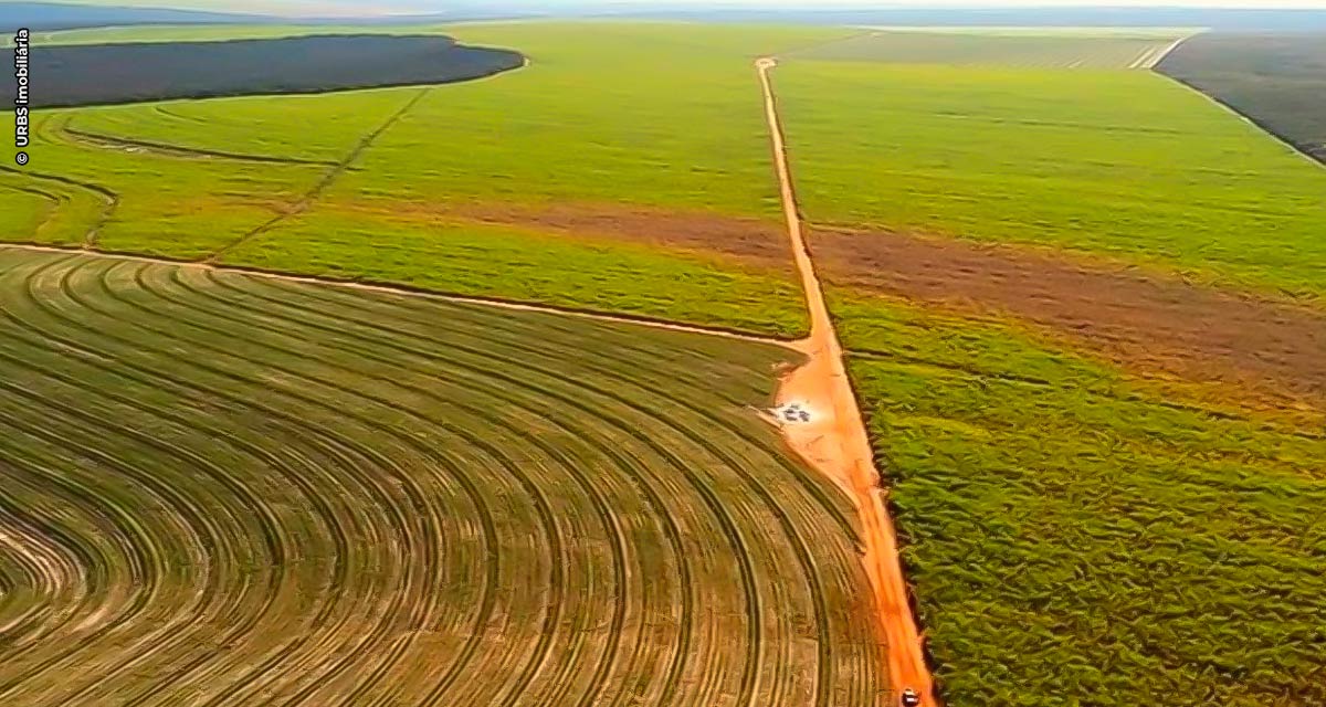 Alta das commodities estimulam investimento em novas áreas de produção rural e promove valorização das terras