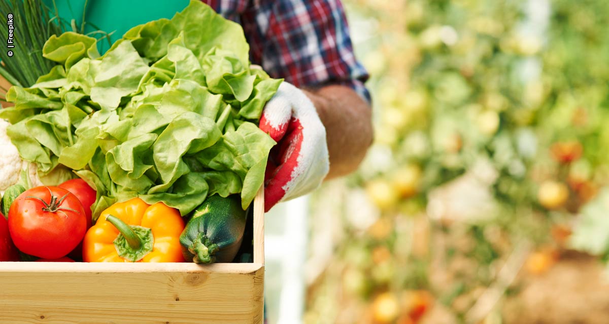 A importância da agricultura familiar para o agronegócio