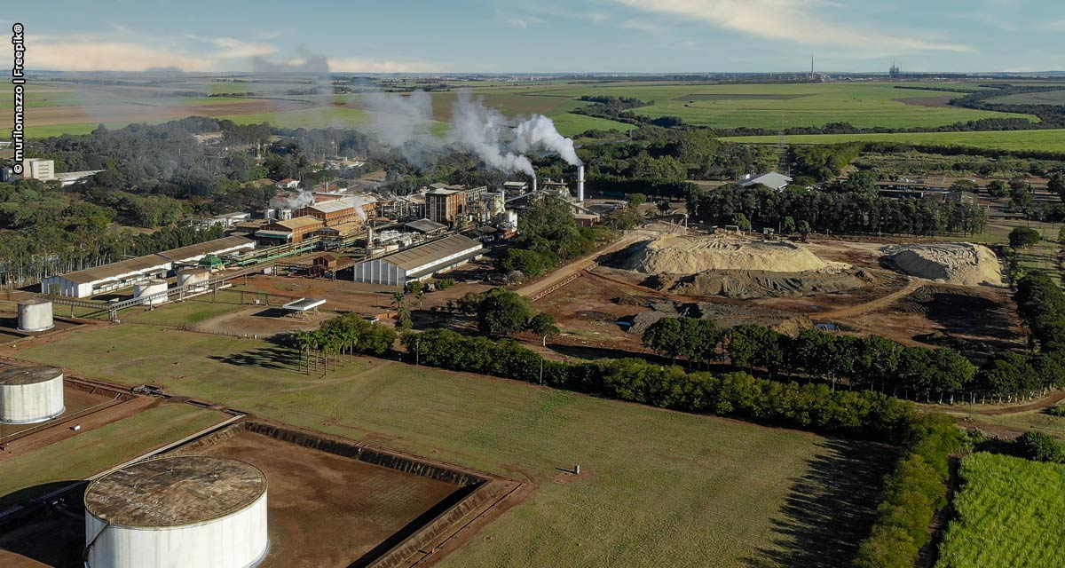 Pesquisadores buscam alavancar produção de bioenergia no Brasil e capturar o CO2 emitido
