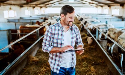 Aplicativo Bovitech Salga oferece controle facilitado da suplementação alimentar do gado a pasto
