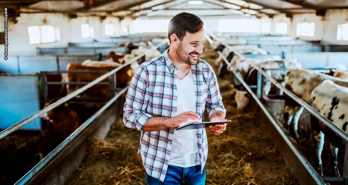 Aplicativo Bovitech Salga oferece controle facilitado da suplementação alimentar do gado a pasto