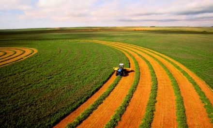 Em meio à crise, agronegócio produz mais e ajuda a gerar emprego no país