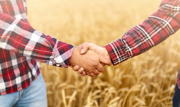Grão Direto e Bayer se unem para ampliar o alcance e impacto de práticas mais sustentáveis na comercialização de grãos