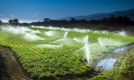 La Niña pode afetar agricultura e o setor deve distribuir água com eficiência