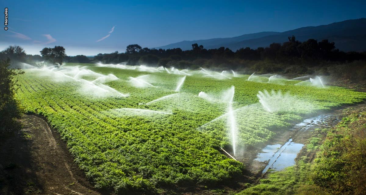 La Niña pode afetar agricultura e o setor deve distribuir água com eficiência