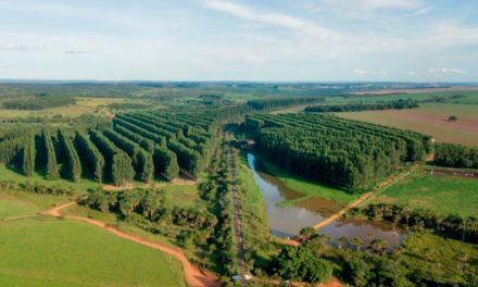 John Deere e The Nature Conservancy firmam acordo  para incentivar a agricultura regenerativa no Brasil