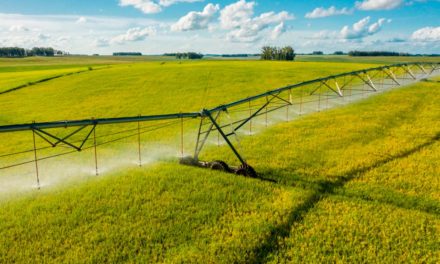 Tecnologia ajuda produtor a otimizar o uso dos insumos e ser eficiente na irrigação