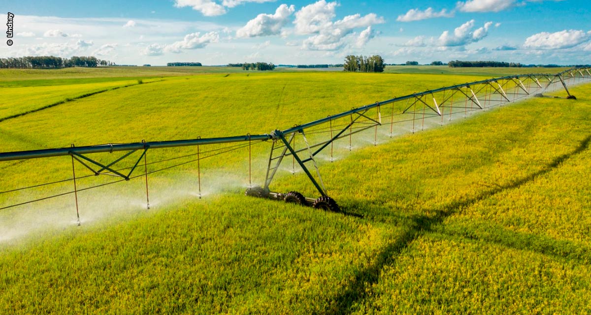 Tecnologia ajuda produtor a otimizar o uso dos insumos e ser eficiente na irrigação