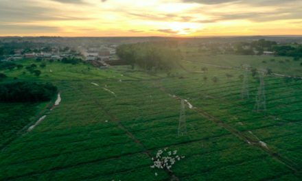 Indústria goiana de laticínios conquista premiação com projeto de preservação da água