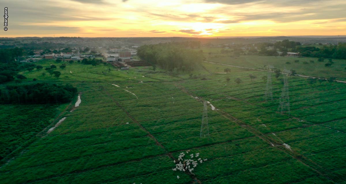 Indústria goiana de laticínios conquista premiação com projeto de preservação da água