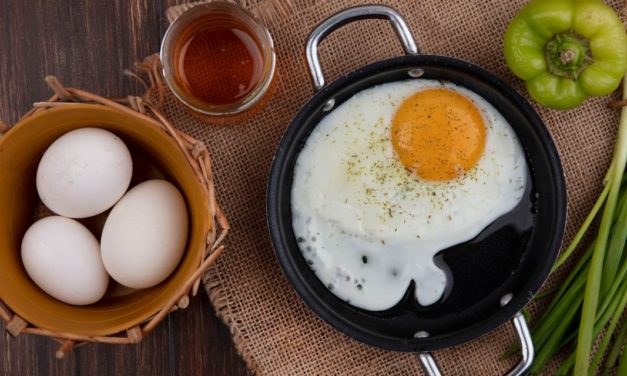 Exportação de ovos entre setembro e janeiro deste ano superam em 137% desempenho de 2020