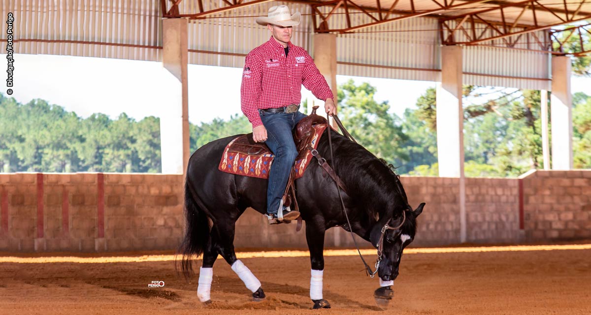 Working Cow Horse é a base para uma formação do cavalo de Trabalho