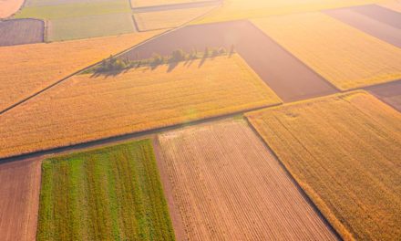 Brasileira assume área global de marketing de Agro do Grupo Solvay