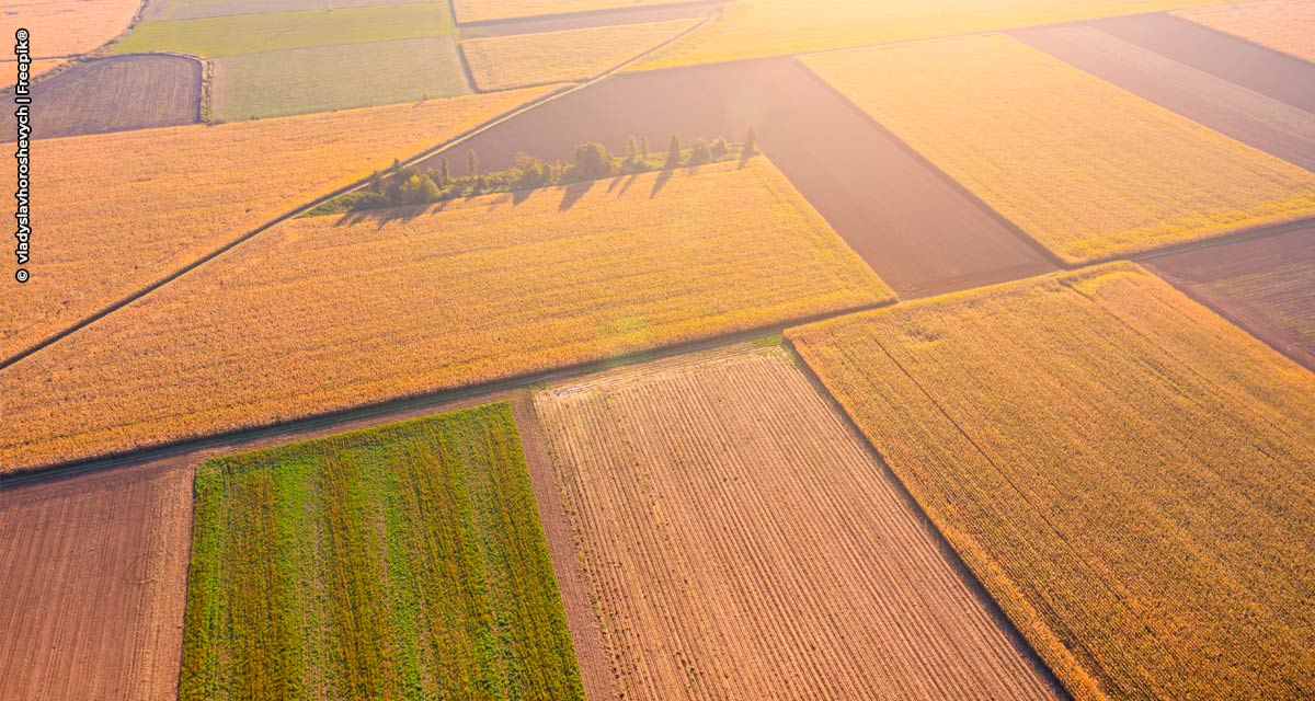 Brasileira assume área global de marketing de Agro do Grupo Solvay