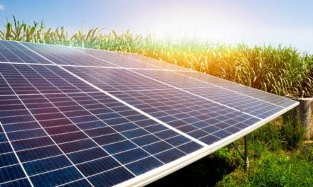 Fatores que contribuem para o aumento da energia solar no agronegócio