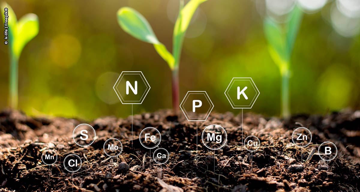 Setor dos fertilizantes especiais apresenta o seu propósito: A Produtividade Inteligente