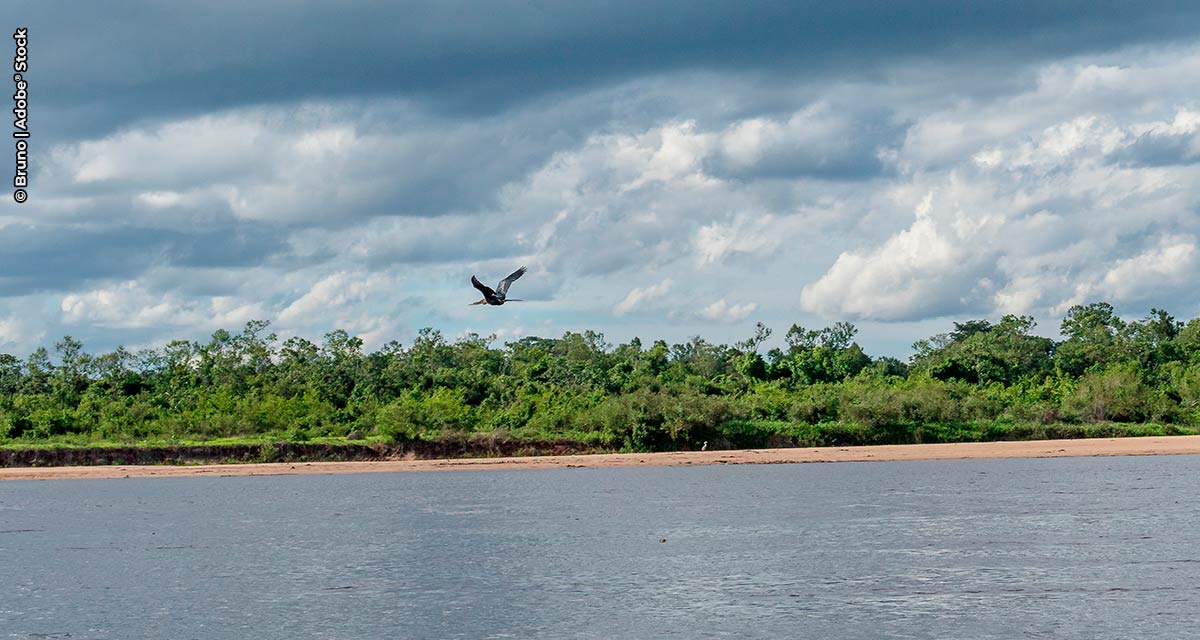 Programa Juntos pelo Araguaia planta as 100 primeiras mudas do Lote II, com apoio da Hypera Pharma