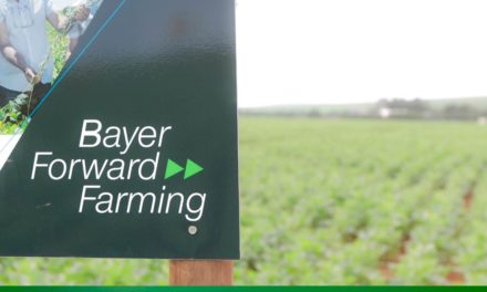 Programa de agricultura sustentável da Bayer completa 5 anos com novas fazendas modelo