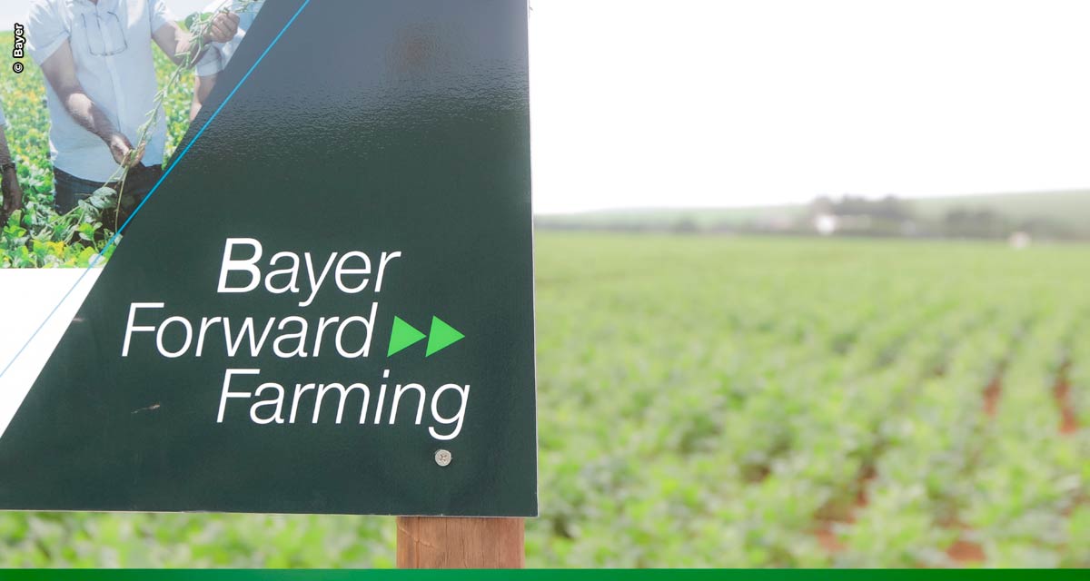 Programa de agricultura sustentável da Bayer completa 5 anos com novas fazendas modelo