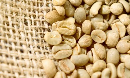 Receita cambial com exportação de café soma US$ 5,4 bi até novembro de 2021