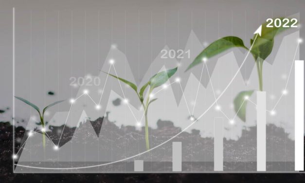 Ipea divulga as primeiras perspectivas de produção e preços  de produtos agropecuários brasileiros para 2022