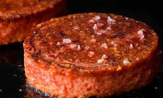 A nova carne vegetal tem mais em comum com o churrasco de domingo do que você imagina 