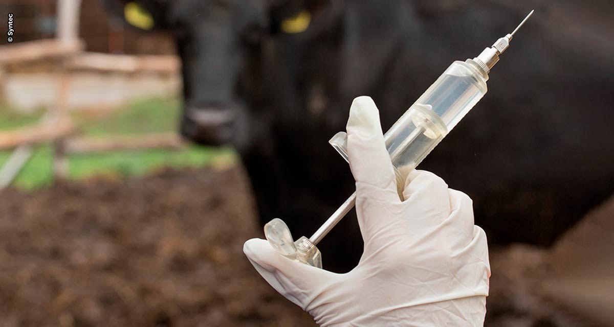 Farmácia abastecida na fazenda: a importância de agir rápido para manter a saúde do gado