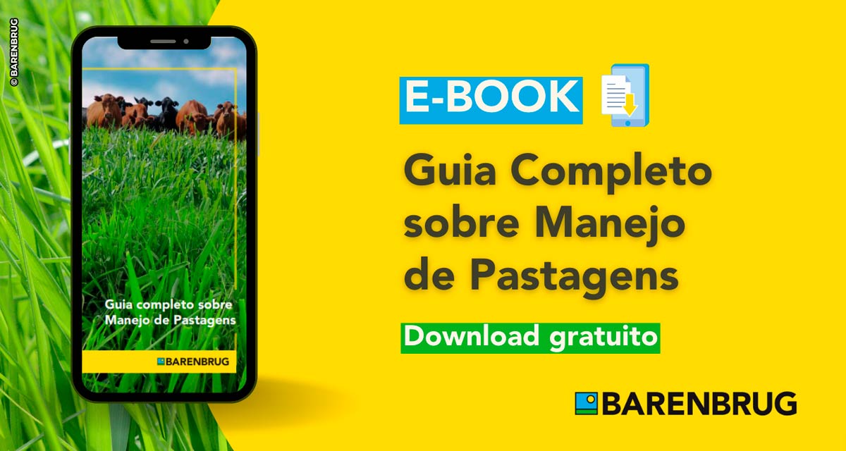 A Barenbrug do Brasil oferece gratuitamente o E-book “Guia Completo sobre Manejo de Pastagens”