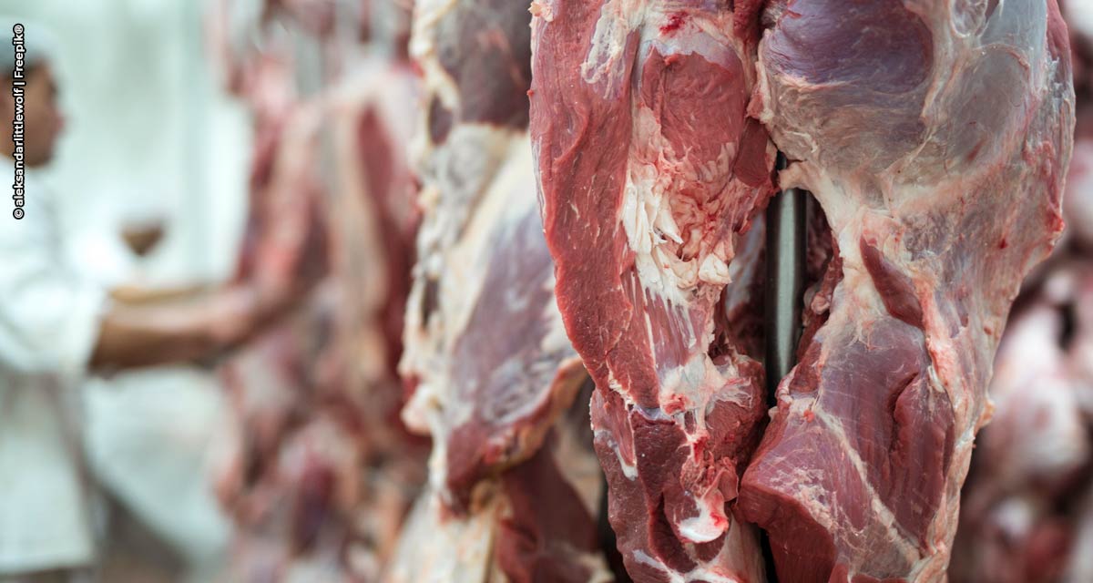 Minerva Foods conquista habilitação para exportar carne in natura aos Estados Unidos a partir da unidade de José Bonifácio/SP