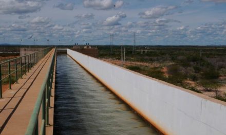 CODEVASF realiza licitação para cessão de 17 lotes agrícolas em Petrolina (PE)