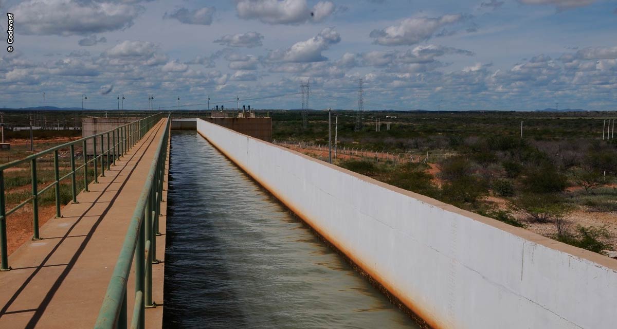 CODEVASF realiza licitação para cessão de 17 lotes agrícolas em Petrolina (PE)