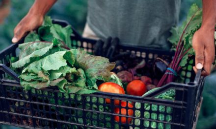 Maersk firma parceria com universidade para criar tecnologia que previne desperdício de alimentos