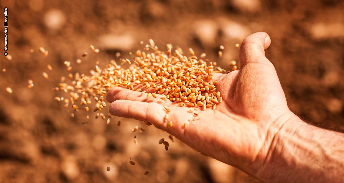 Ministério da Agricultura libera novo fungicida microbiológico da Rizobacter