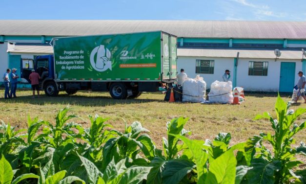 No setor do tabaco, ações contribuem com o controle da poluição por agrotóxicos