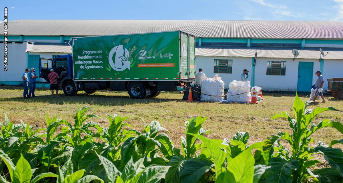 No setor do tabaco, ações contribuem com o controle da poluição por agrotóxicos