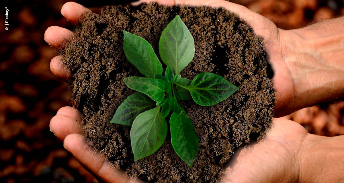 Neutralidade de carbono e sustentabilidade são objetivos possíveis na cadeia industrial do leite