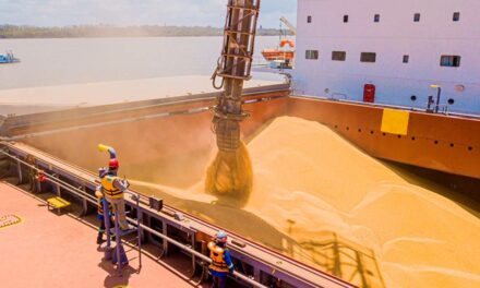 ADM bate recorde de embarque de soja no Porto de Barcarena