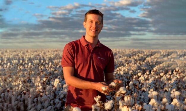 Condições meteorológicas e investimento em biotecnologia podem aumentar produtividade no algodão em até 20%, segundo produtor de MT