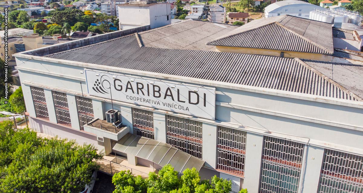 Cooperativa Vinícola Garibaldi cresce quase 30% no ano  de seu 90º aniversário