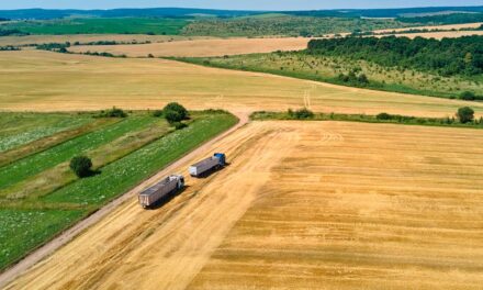 Empresa cresce 28% com soluções que geram economia no transporte de cargas no agro