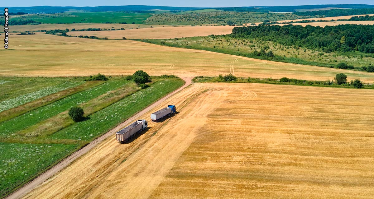 Empresa cresce 28% com soluções que geram economia no transporte de cargas no agro