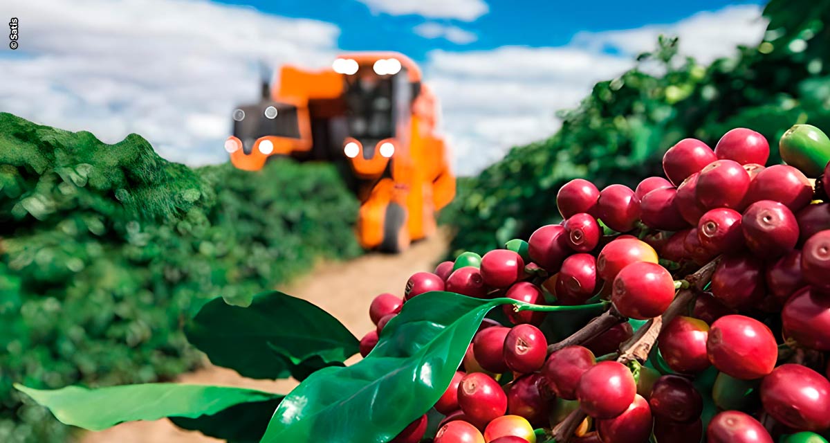 Ação gratuita orienta produtores para alcançar maior grau de excelência do café